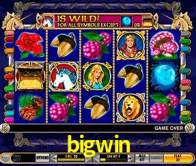 Descubra o Mundo do Cassino Online com bigwin